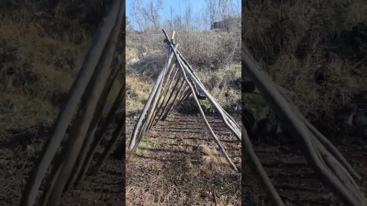 Строим лесное убежище для ослов! 