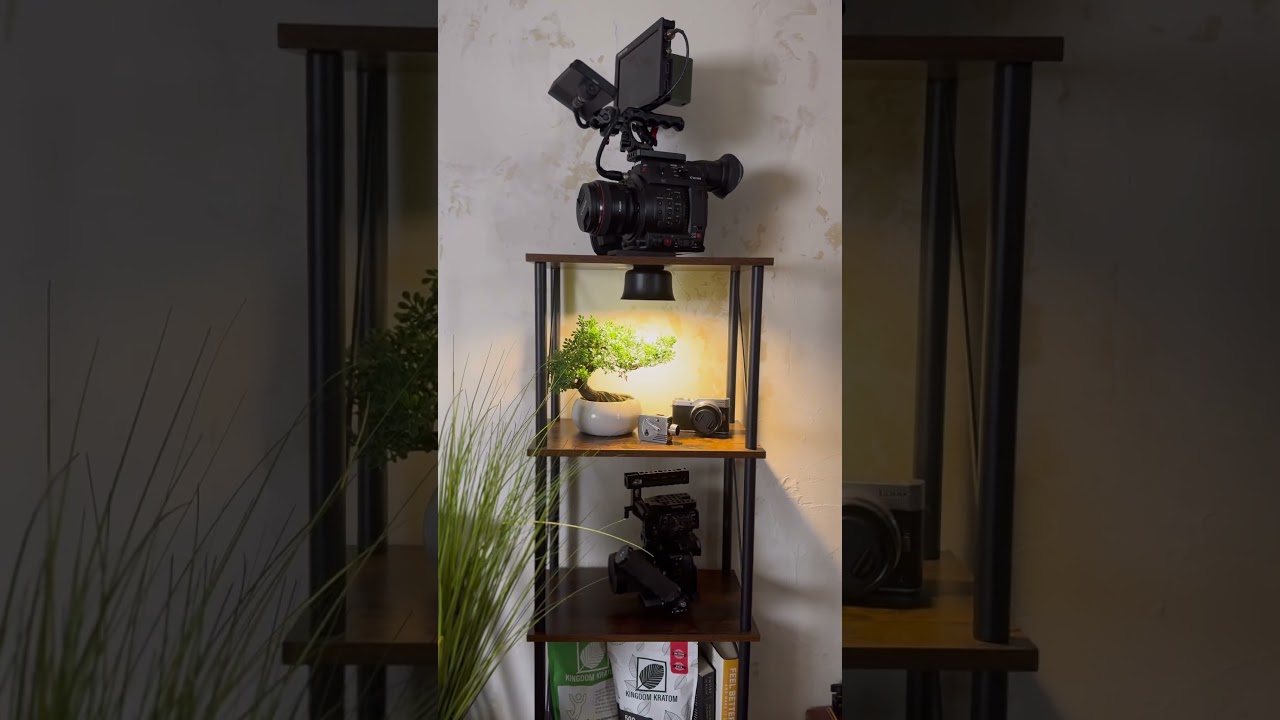 Two Camera’s I’ll never Get Rid Of!  