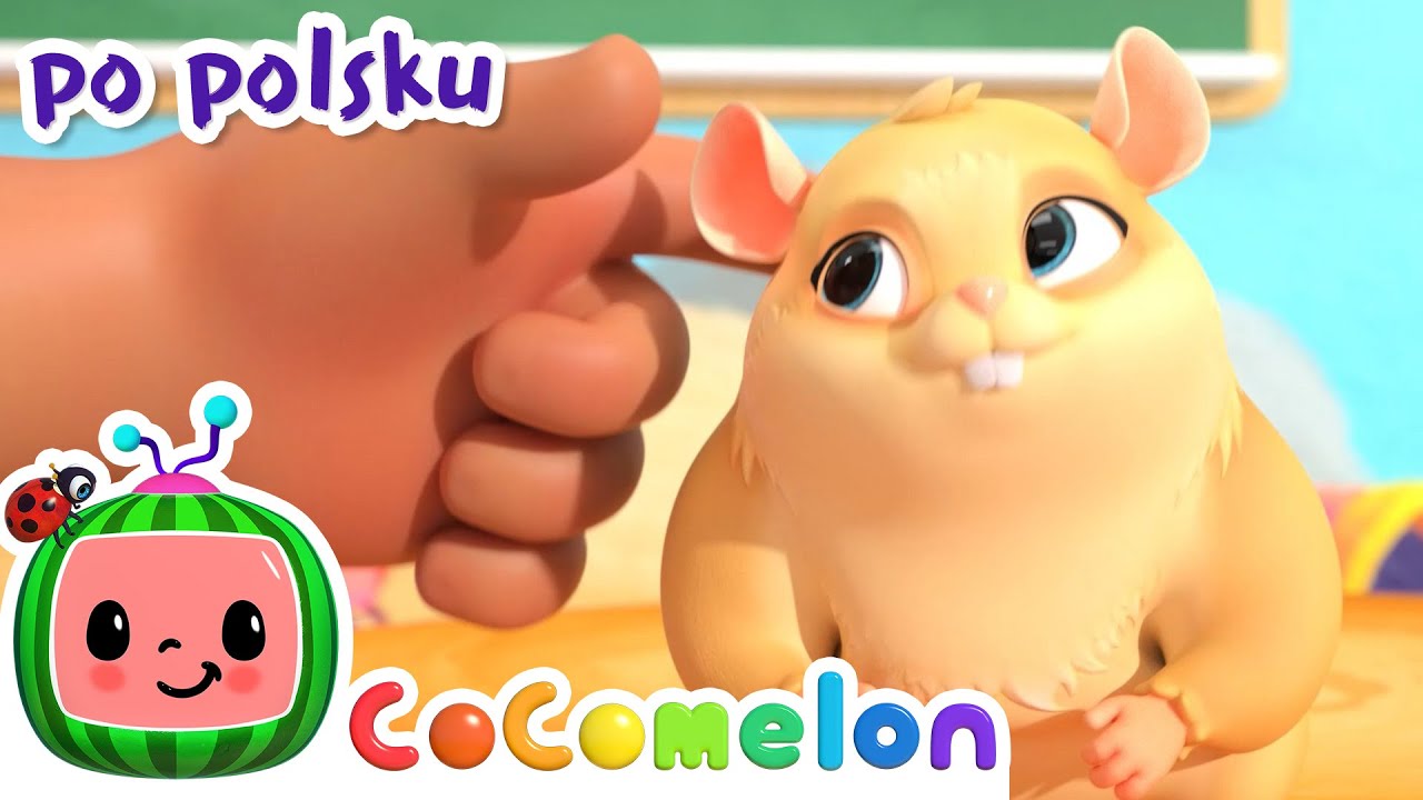 Nasz mały chomik | CoComoelon po polsku - piosenki dla dzieci!