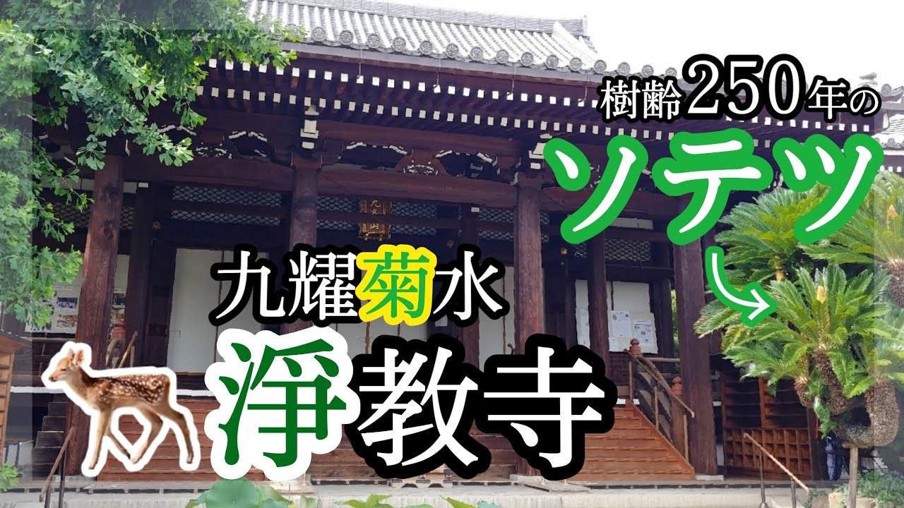 浄教寺