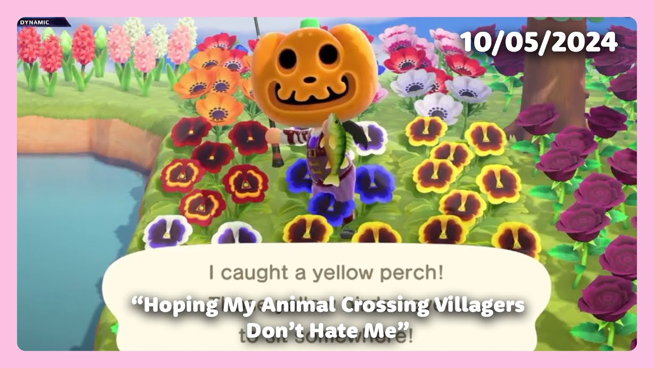 Mae Reconnects with the Residents of Jingle Bay Island