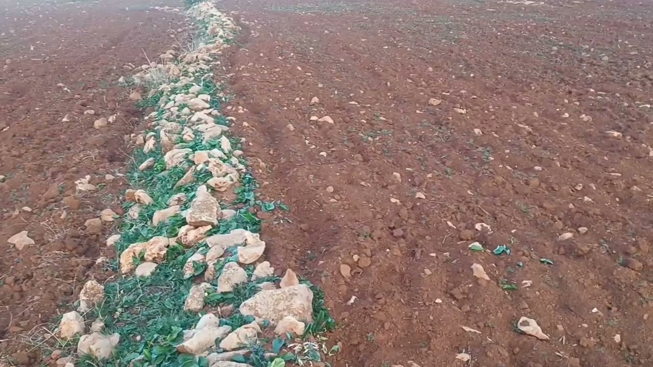 سكنى بجردة ديالها 24 مليون  مع. أرض 7 مليون  0679444657