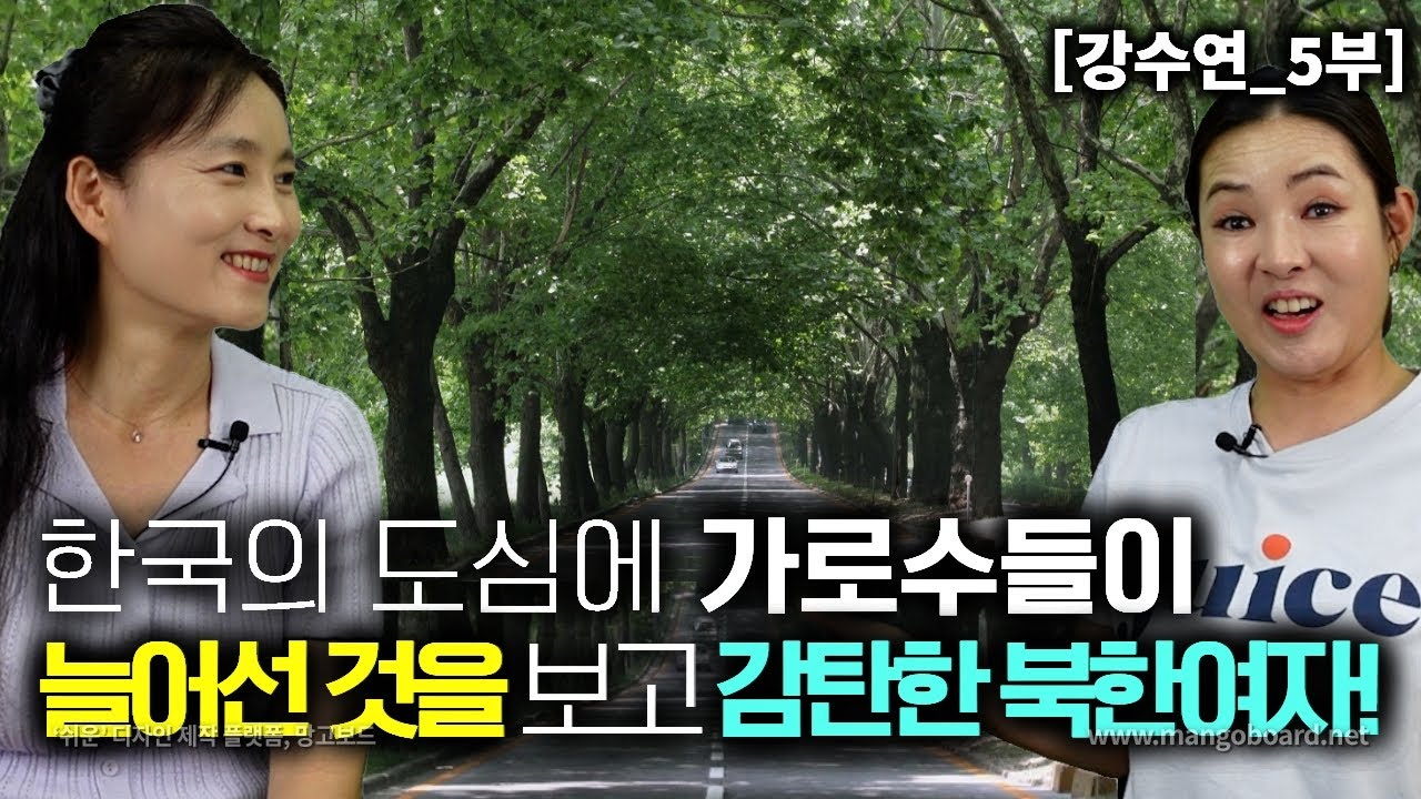 [강수연_5부] 한국의 도심에 가로수들이 줄줄이 늘어선 것을 보고 감탄하는 북한사람들!