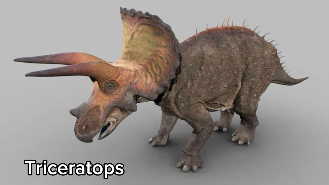 Dinosaur Revolution/Dinotasia - All Creatures 