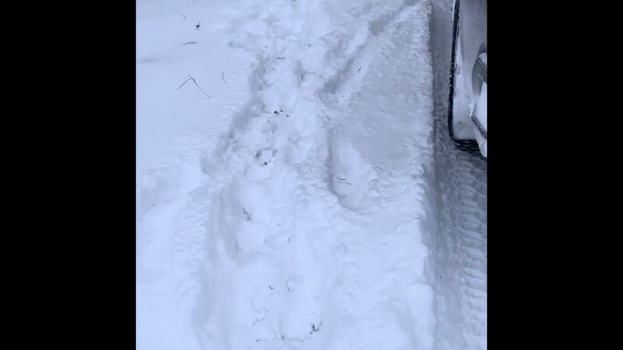 KENDA KLEAVER RT/Snow Country