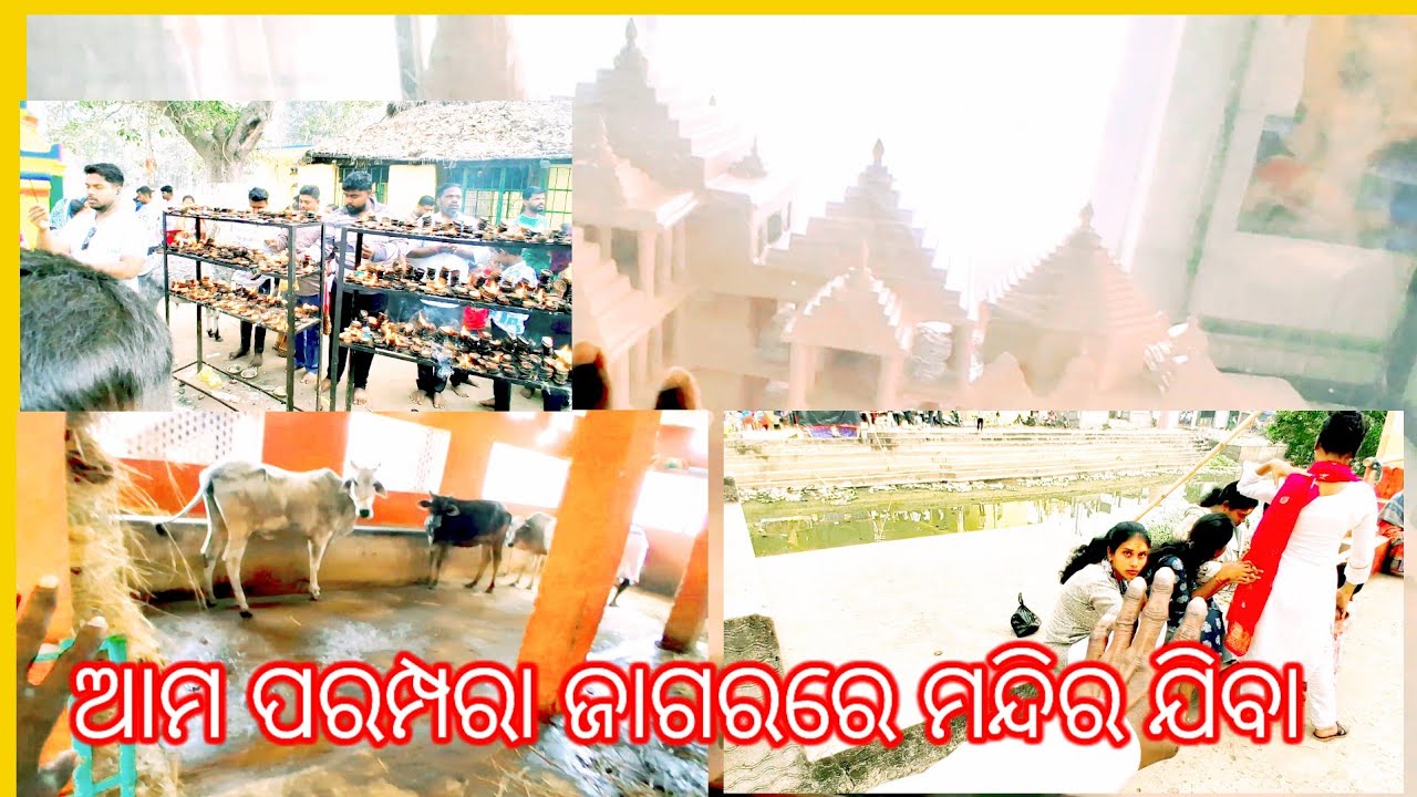 ଆମ ପରମ୍ପରା ଜାଗରରେ ମନ୍ଦିର ବୁଲିବା😀#tnmunablog #odiavolg #viralvideo 
