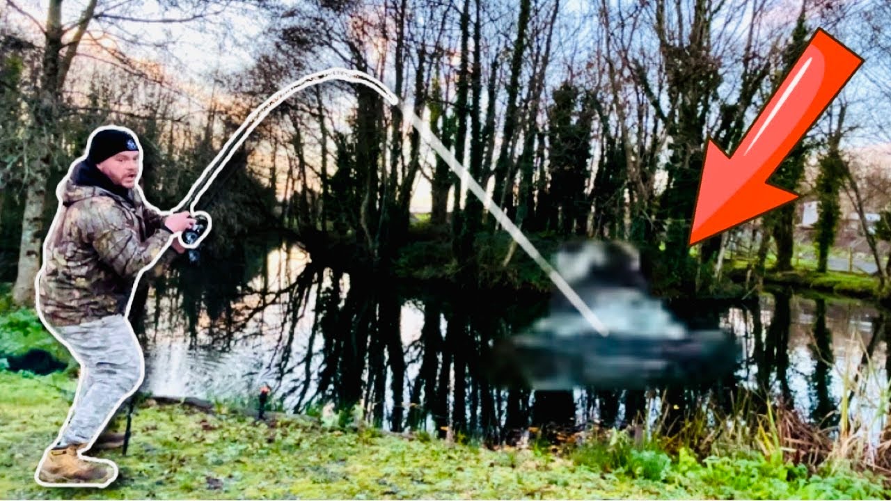 I CAUGHT a STUNNING Carp Fishing at Llyn Y Gors, North Wales