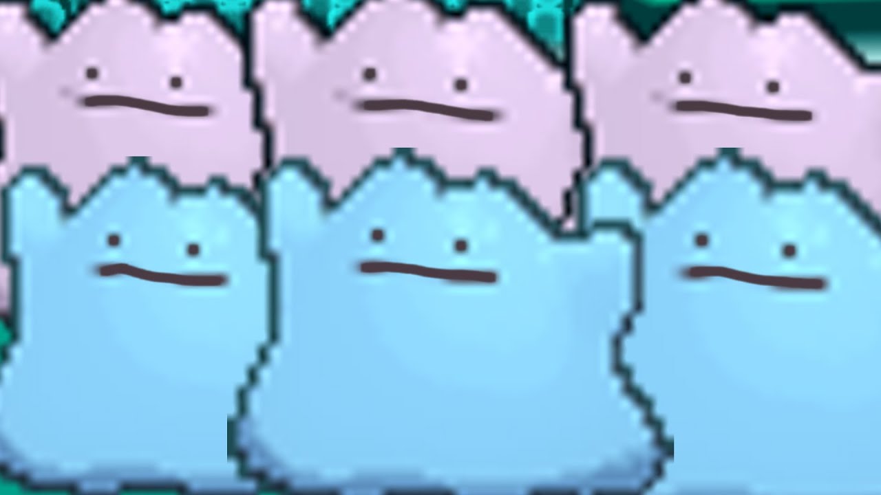 FULL DITTO TEAM!