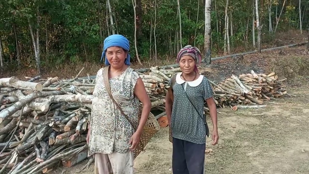 cutting fire wood 16/1/26😮‍💨