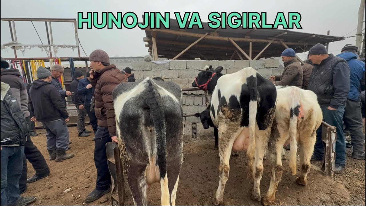 😲 Odamlar talashib oldi! Do‘rmoncha bozor bugun