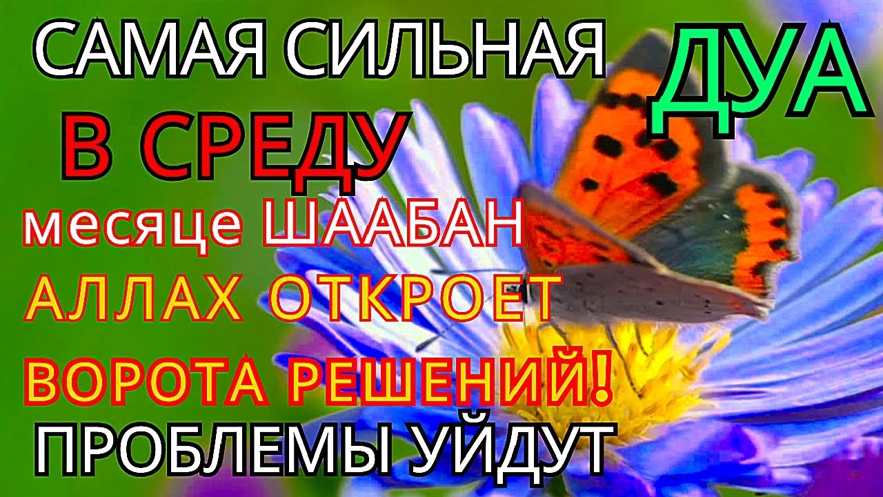 ✨СУРА КАХФ КАЖДУЮ В СРЕДУ ЧИТАЙТЕ СЛУШАЙТЕ В МЕСЯЦА ШААБАН #суракахф  #ЧитайКоран