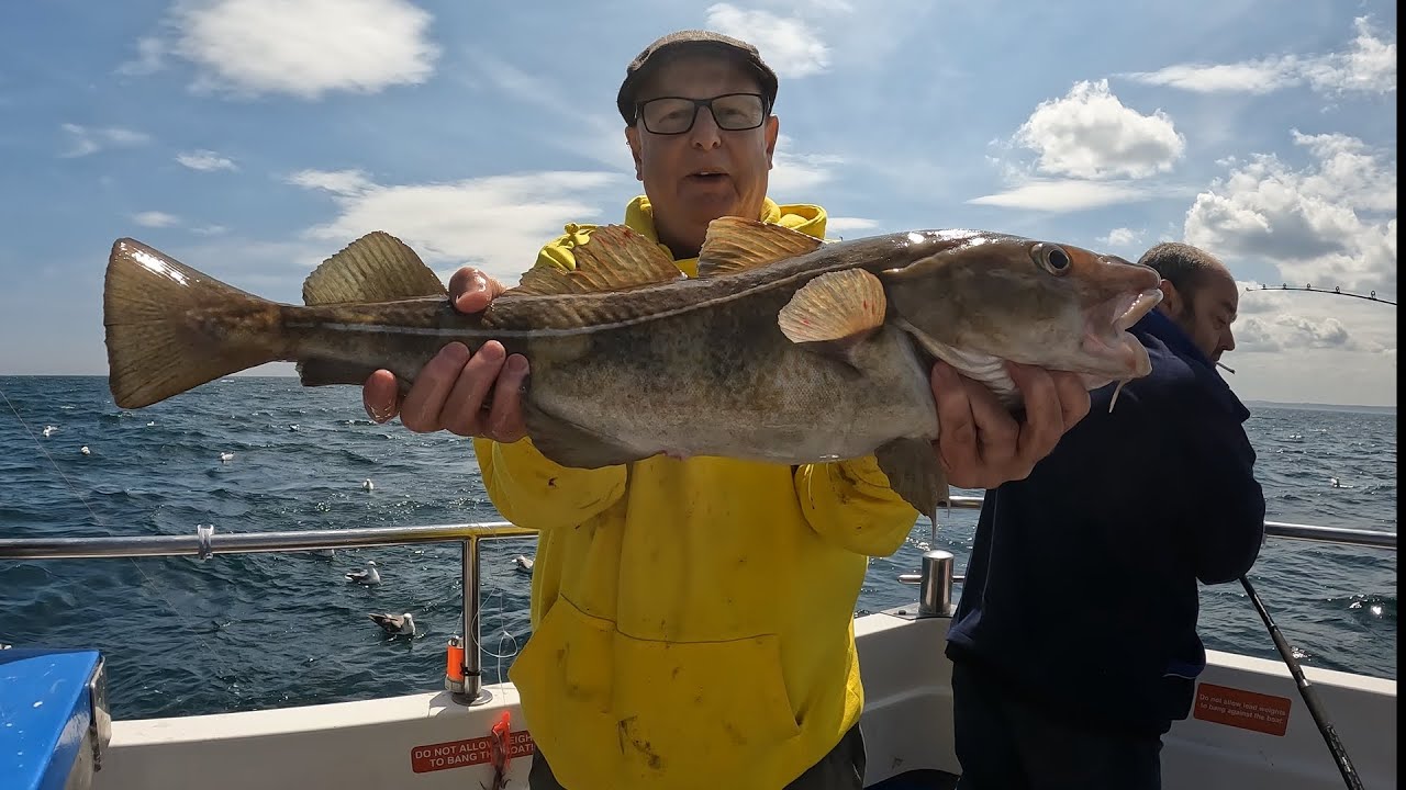 A day  on Sea Urchin (Whitby)