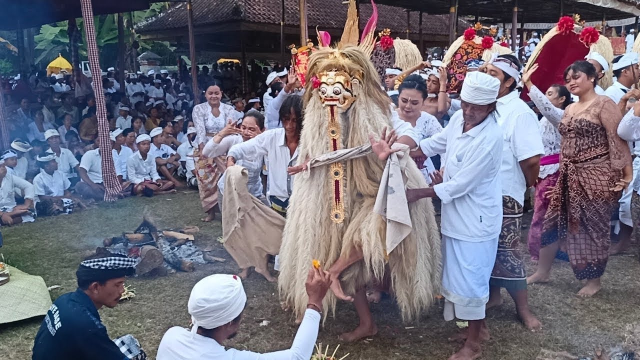 PULUHAN WARGA KERAUHAN SAAT PENYINEBAN ACI USABA DESA SELUMBUNG KARANGASEM TAHUN 2024