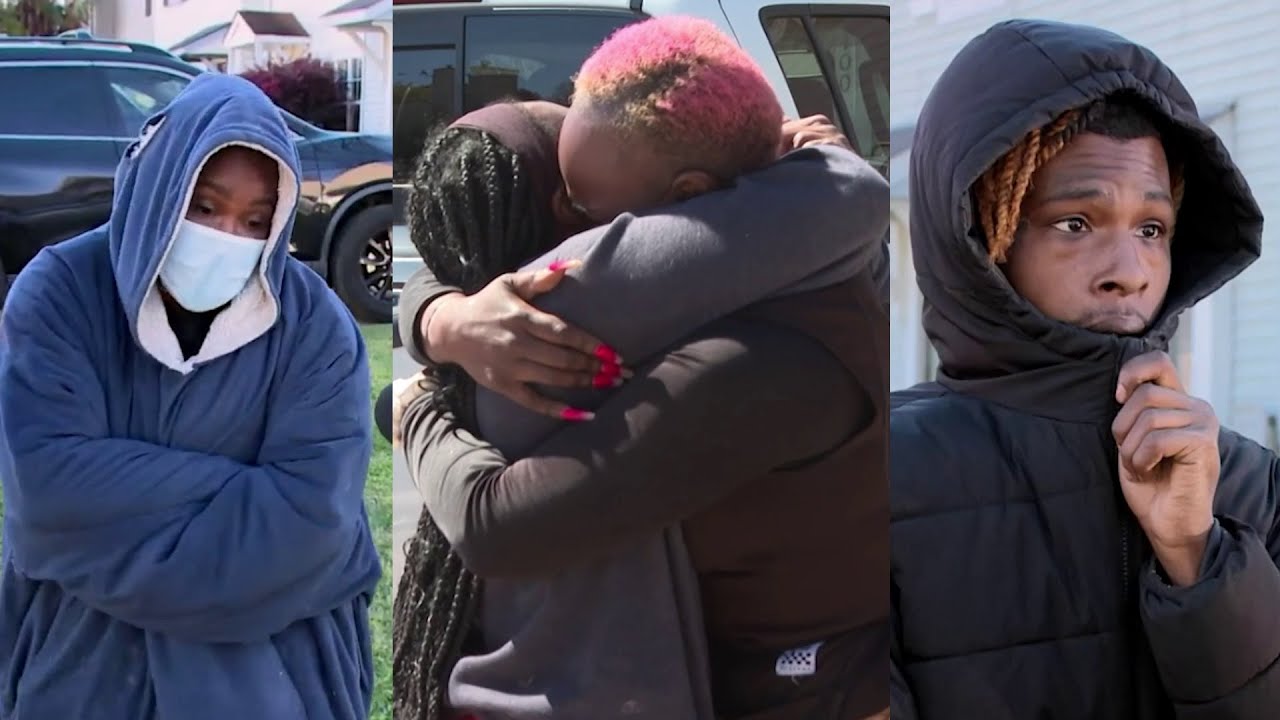 Pit bull killed by police after attacking a teenage boy