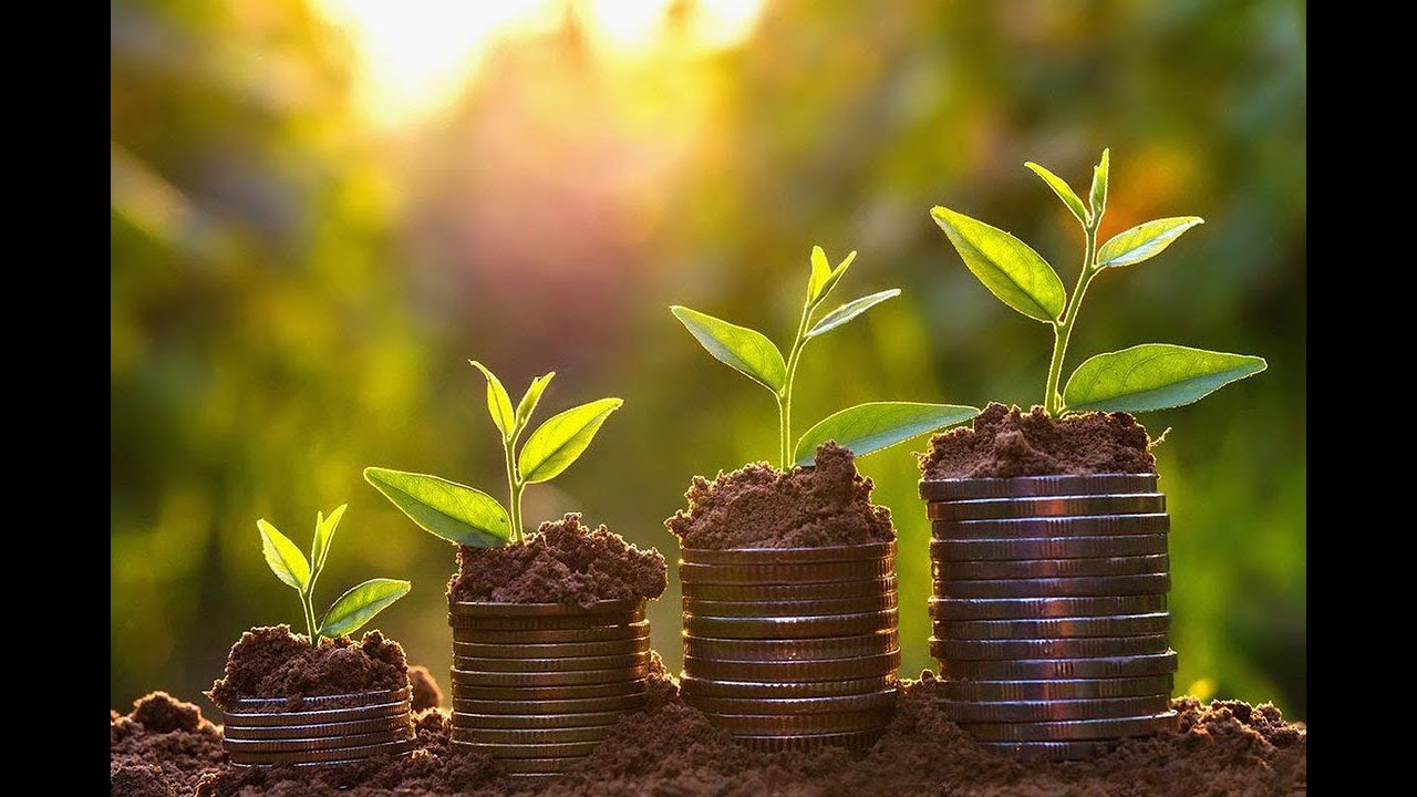 # 18-Scalp Forex, B3, ProfitPro & Conta F i-FraldinhaTrader Scalp Alieninja!