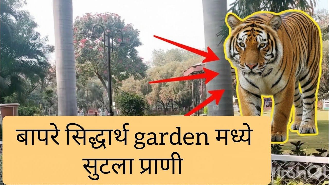 सिद्धार्थ garden मध्ये सुटला प्राणी 😱😱//Watch full vlog🥴🤪😱😱
