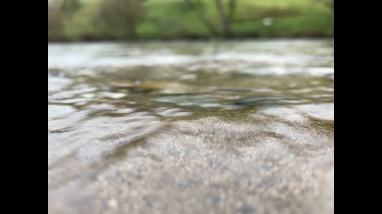Waves at Hartlington