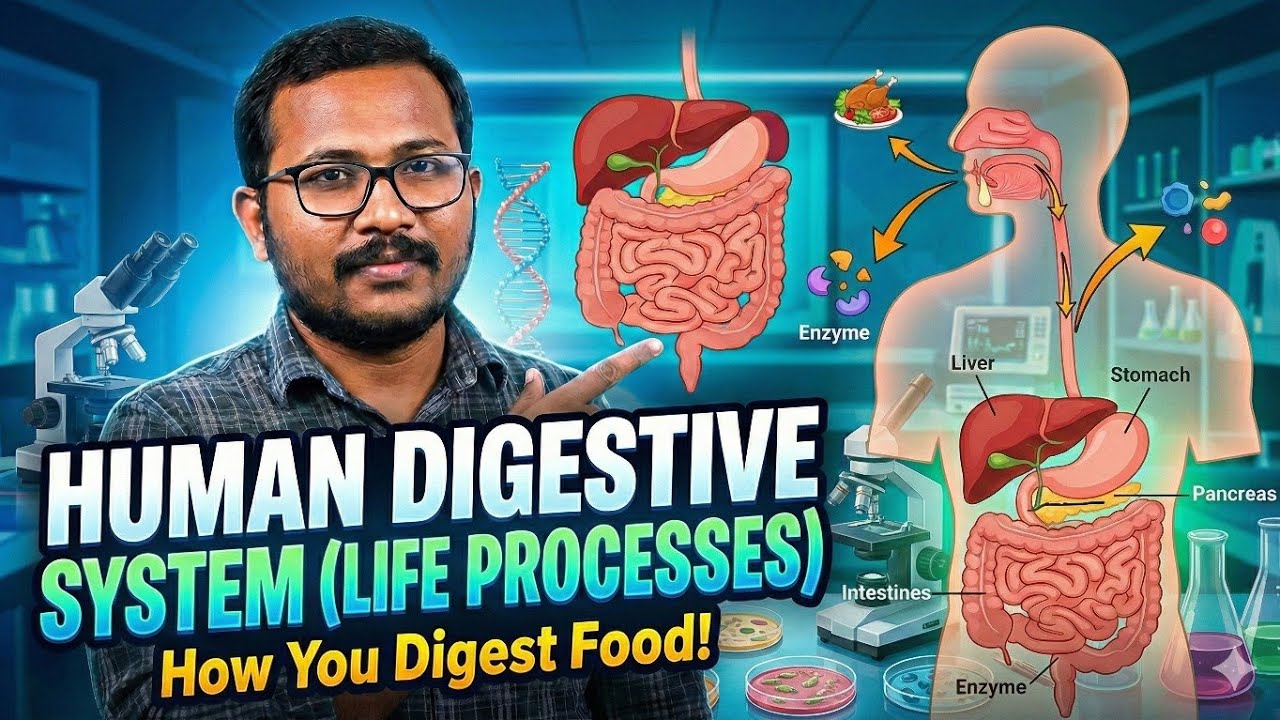 Human Digestive System | Life Processes | Biology Class 10 #cbseboards2026 #biology 