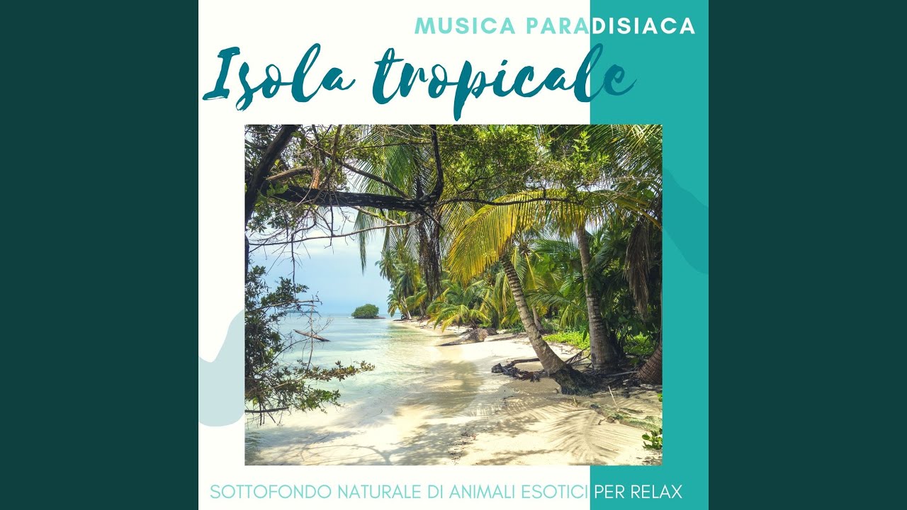 Isola tropicale