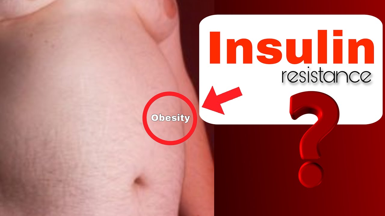 What Is Insulin? | How Insulin Controls Blood Sugar | Role of Insulin in the Body | Herbaljoy 