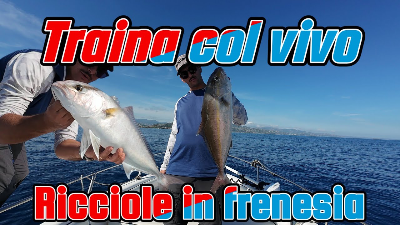 TRAINA COL VIVO. RICCIOLE 