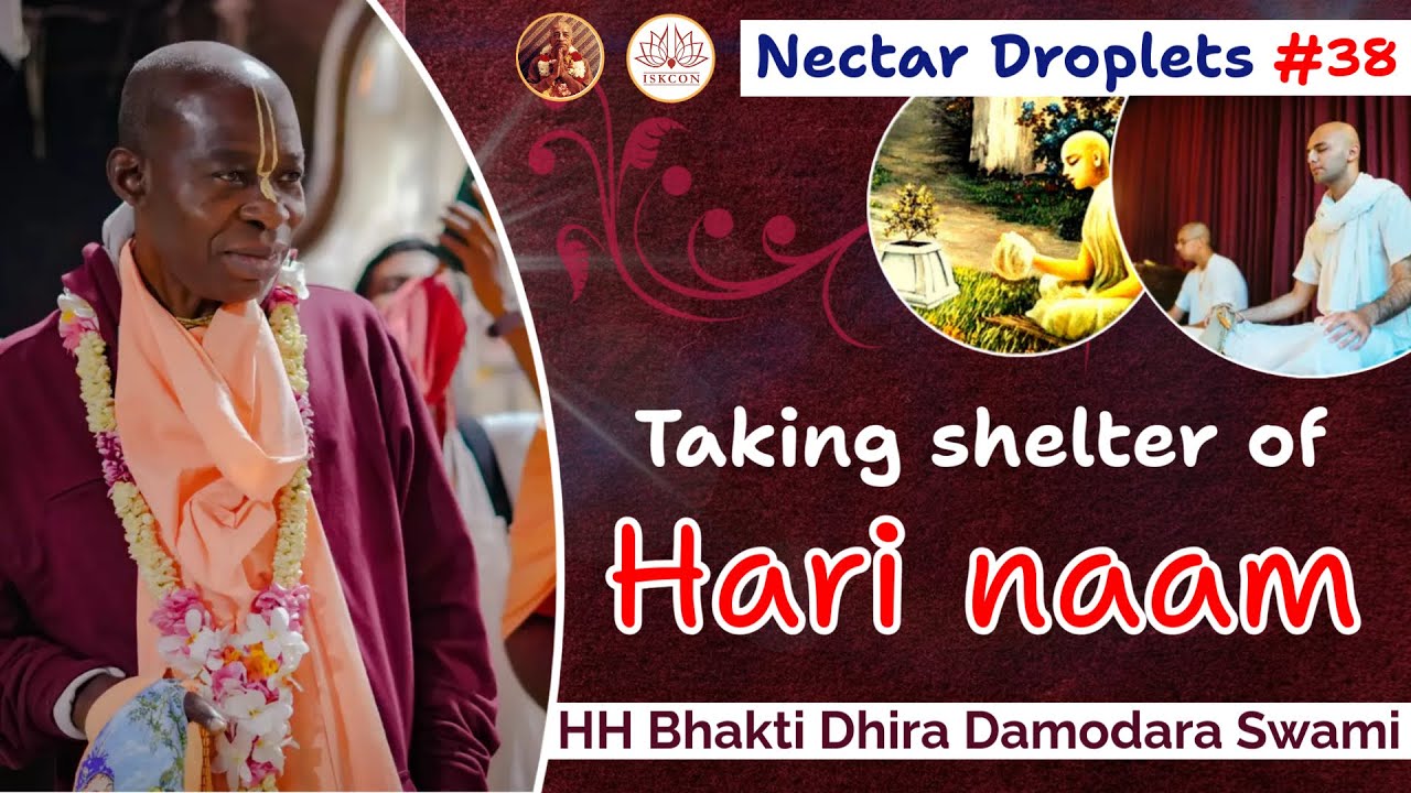 Nectar Droplets #38 | How to take shelter of Holy Name | HH BDDS