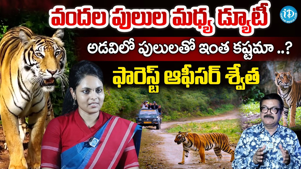 Swetha Boddu, IFS D.F.O. Chandrapur, MH about Tigers in Forest | Crime Diaries With Muralidhar