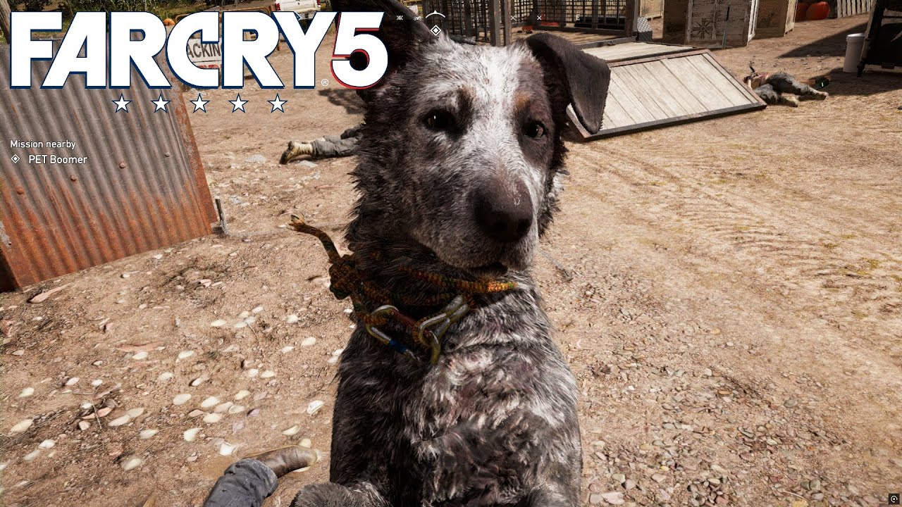 Saving Boomer - Far Cry 5 Gameplay 