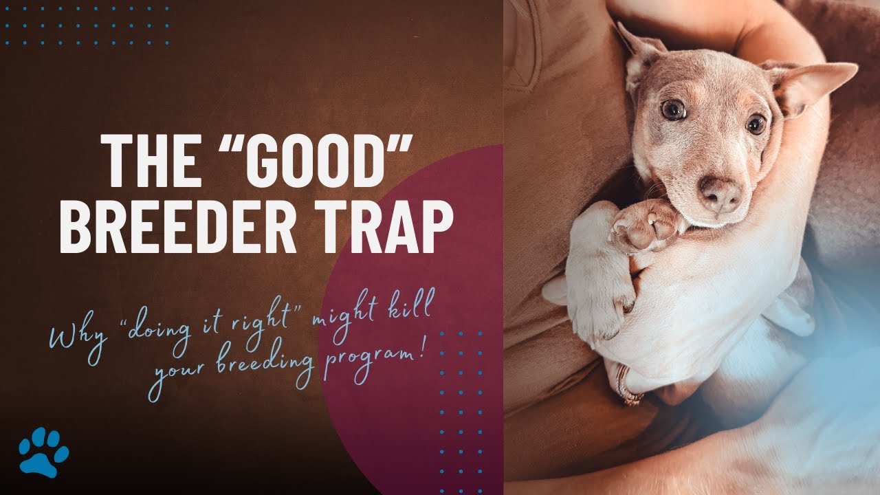 What Actually Makes a Good Breeder