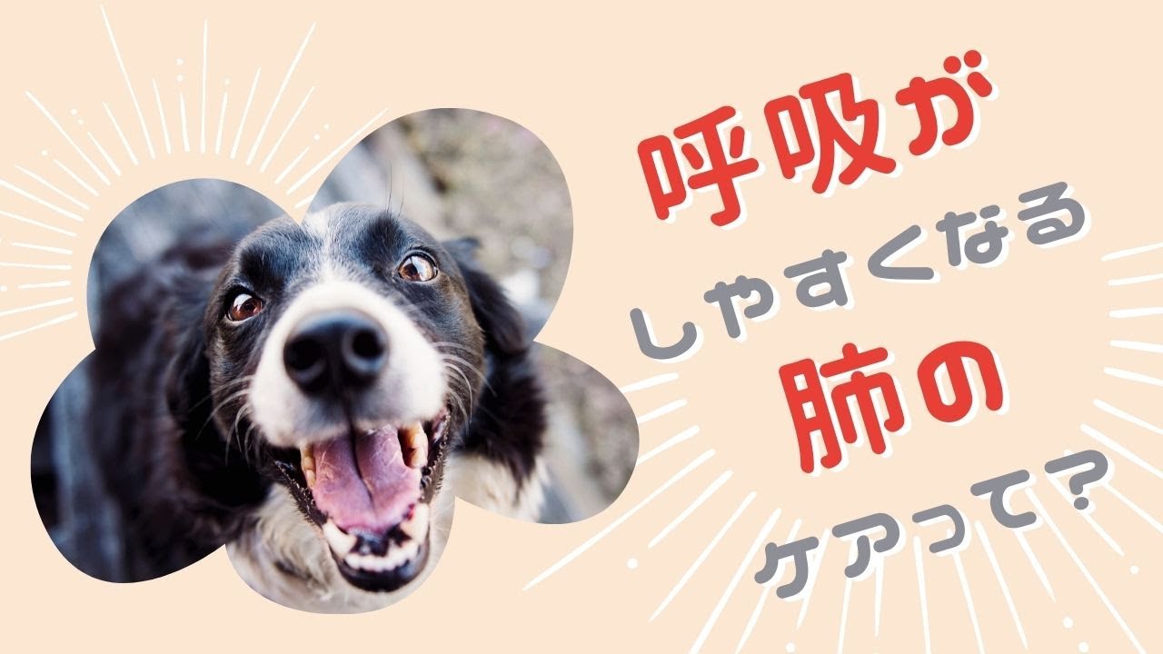 呼吸がしやすくなる肺のケアって？