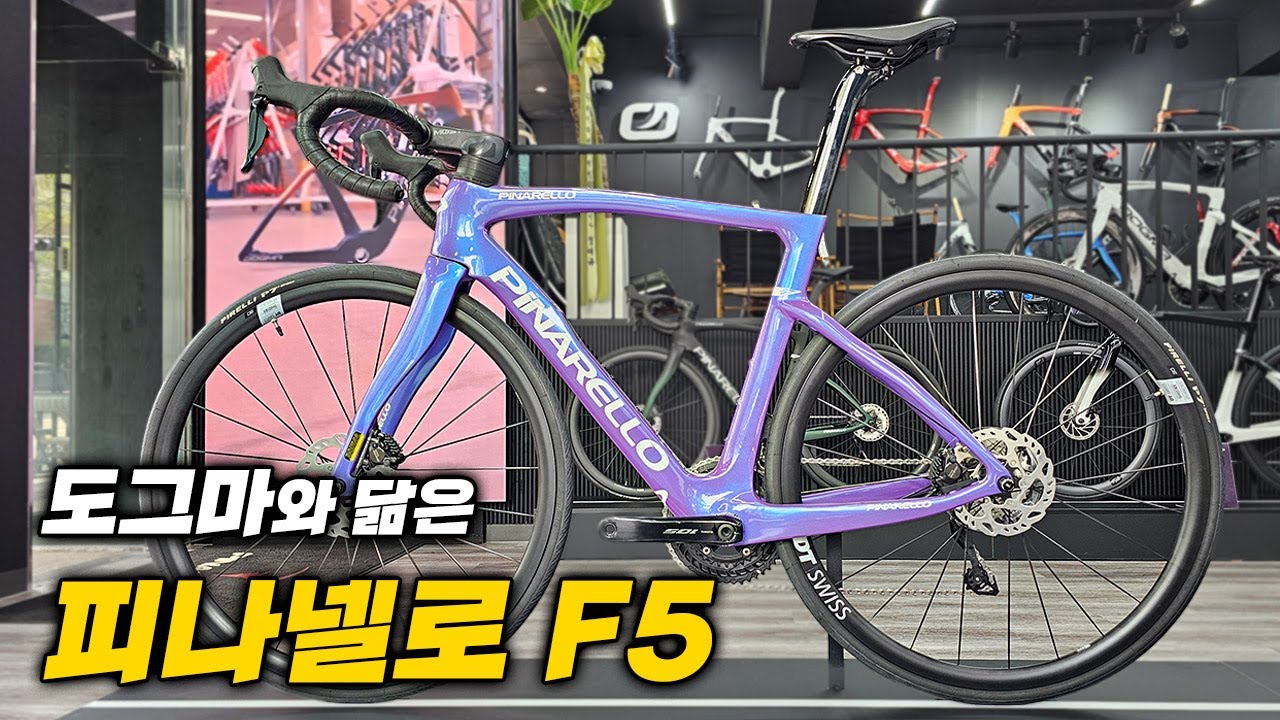 도그마를 꼭 닮은 입문급(?) 피나넬로 F5