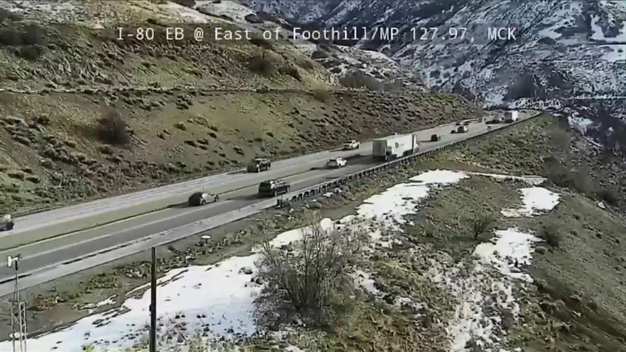 Elk Return to I-80
