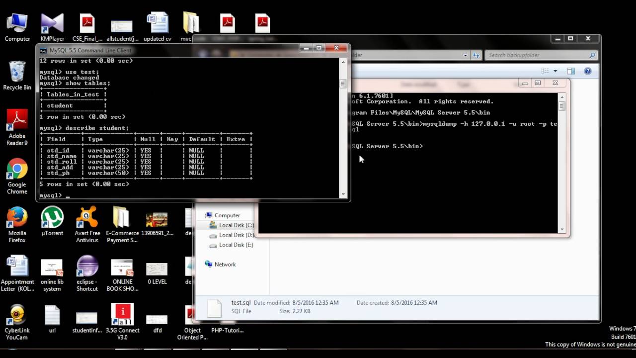 how to import and export database in MySql