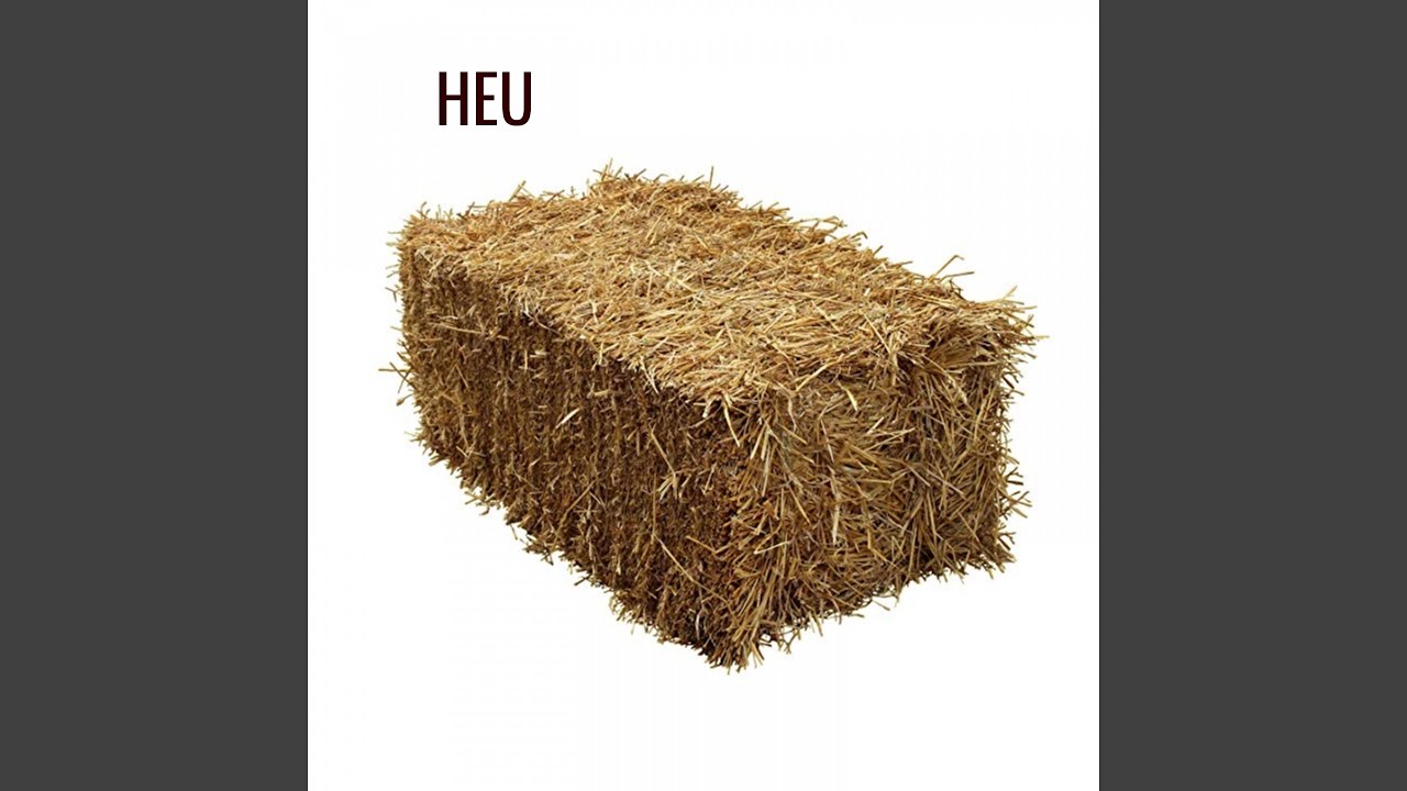 HEU (feat. Iamnasty)