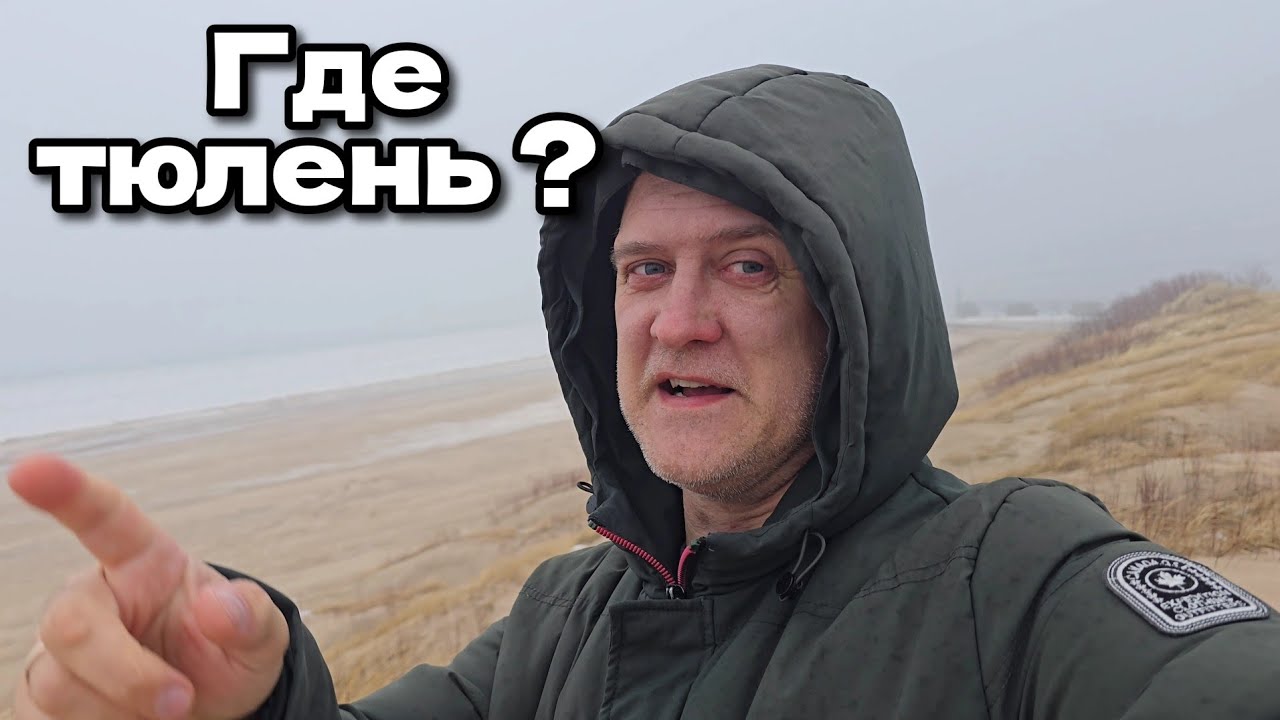 Как мы тюленёнка искали | Латвия, 28 февраля, город Вентспилс 