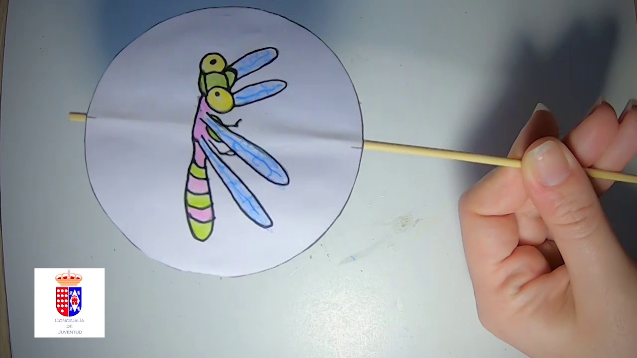 Taumatropo