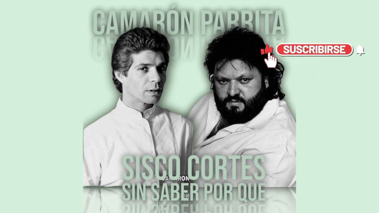 Camarón de la Isla IA, Parrita IA sin saber por que