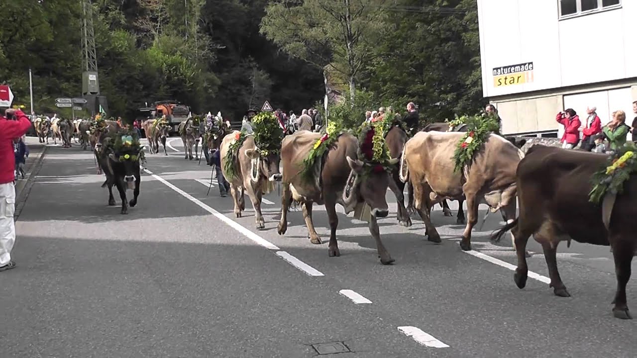 Alpabzug - Alpabfahrt Flums, 2010, 1. Teil