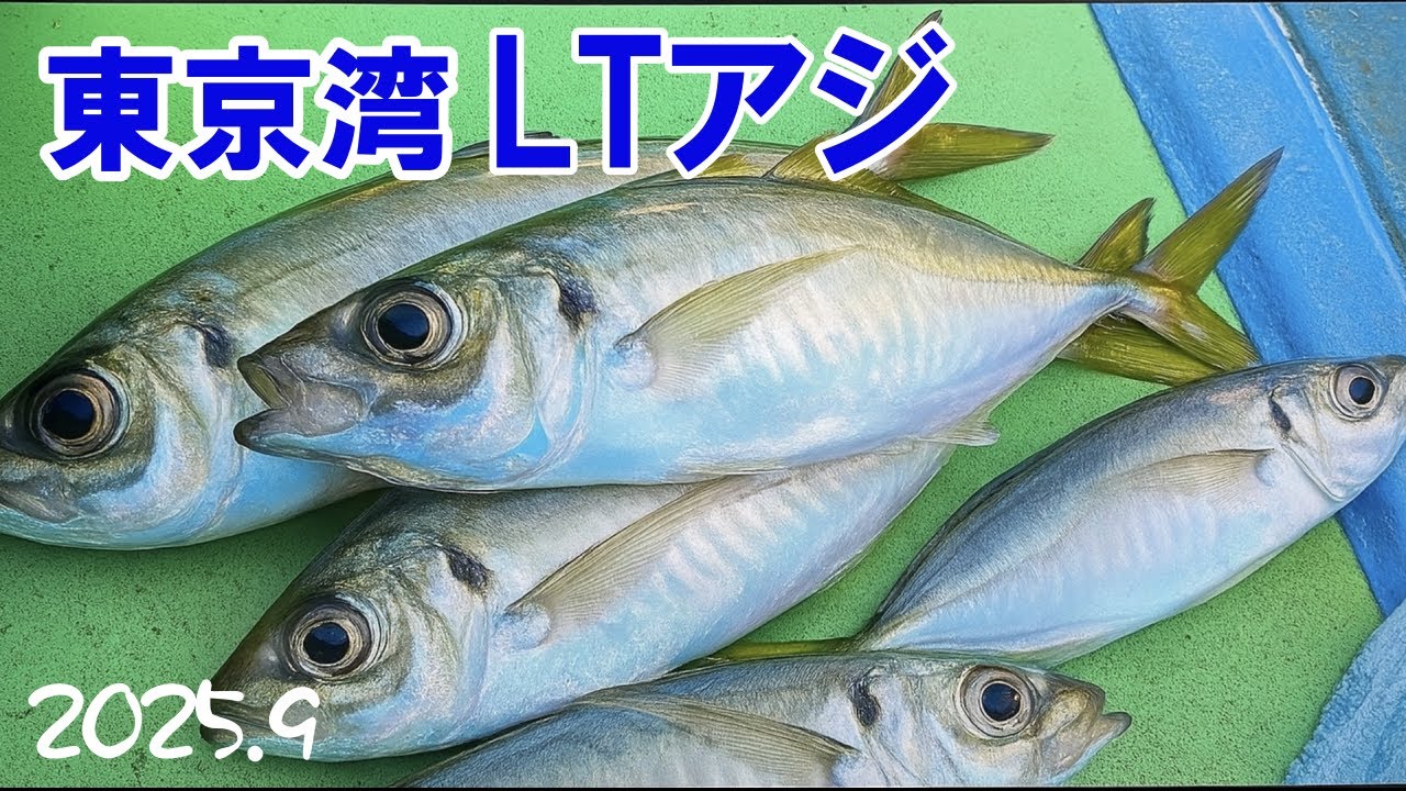 #97【船釣り】金沢八景 ライトアジに挑戦！！