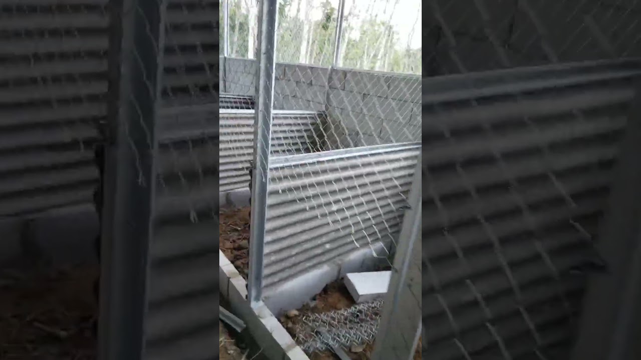 Update proses pembuatan kandang indukan ayam kub 2 janaka