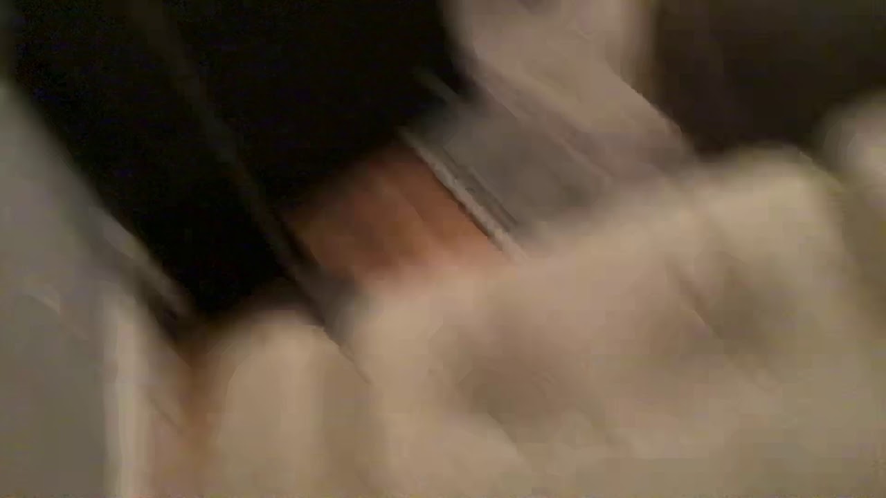 Angry quarantine kitty