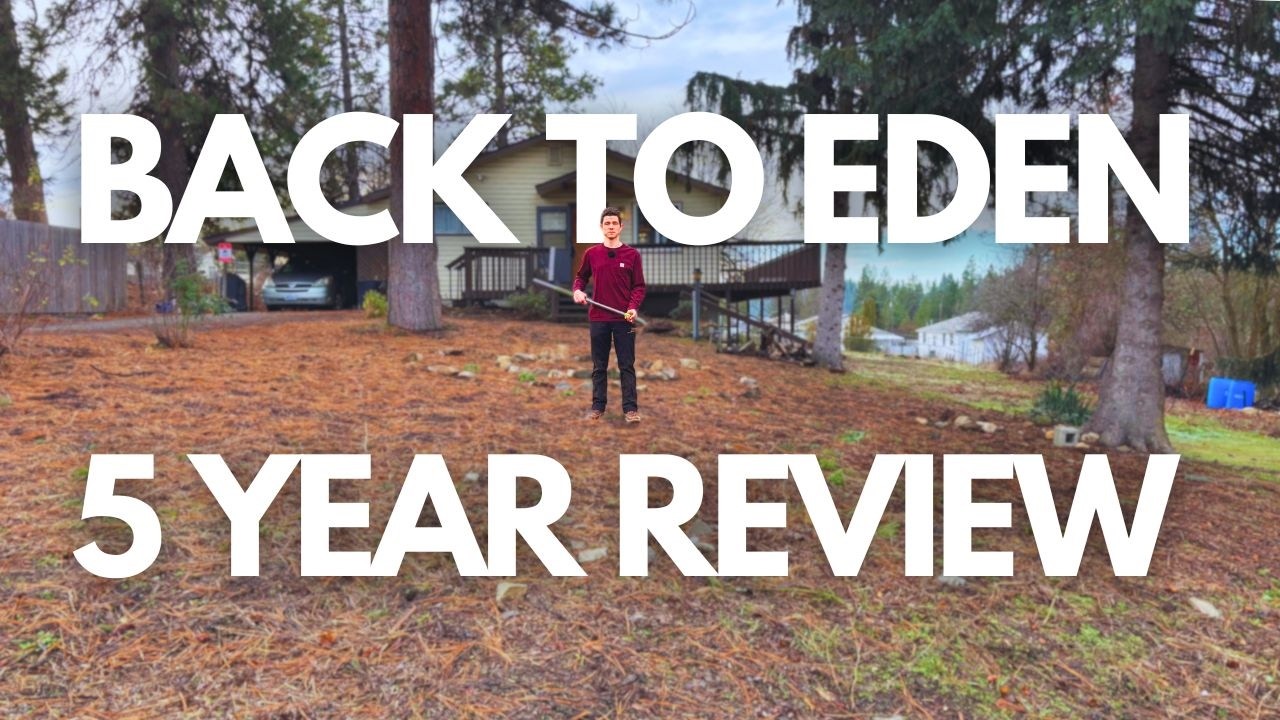 Should You Cover Your Yard with Wood Chips?