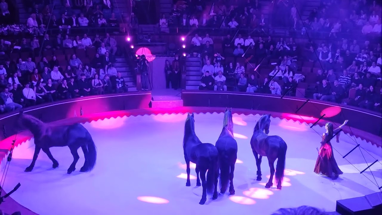 16. Budapest Circus Festival 2026 - konie