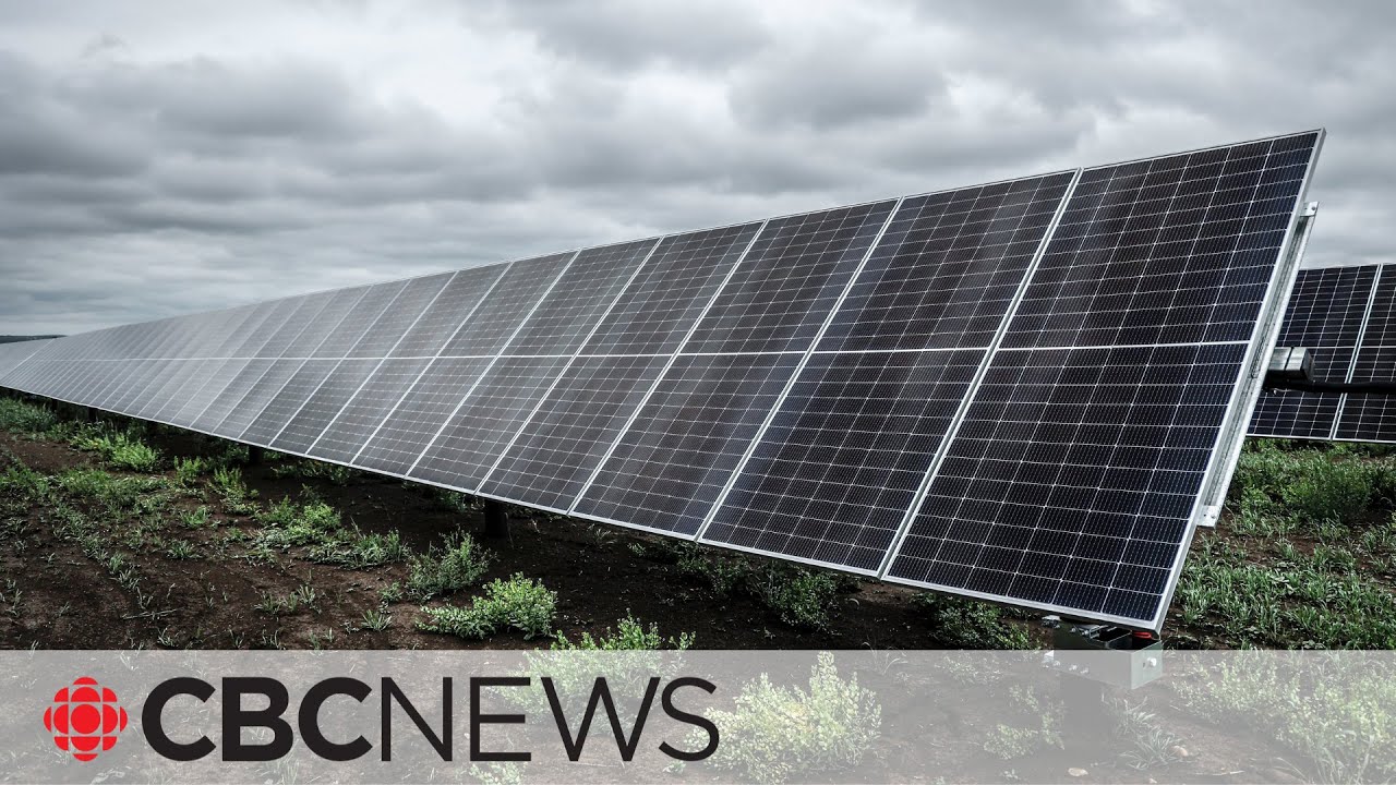 Alberta puts pause on new renewable energy projects