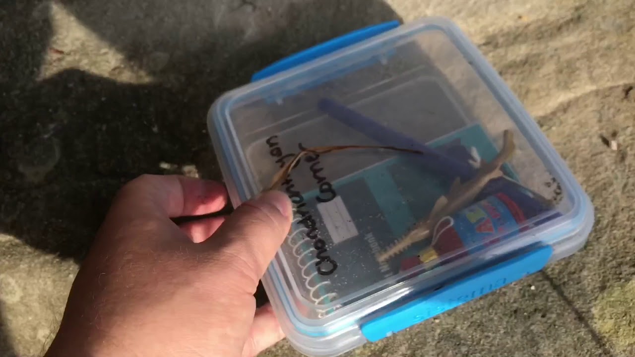 Muggled Geocache