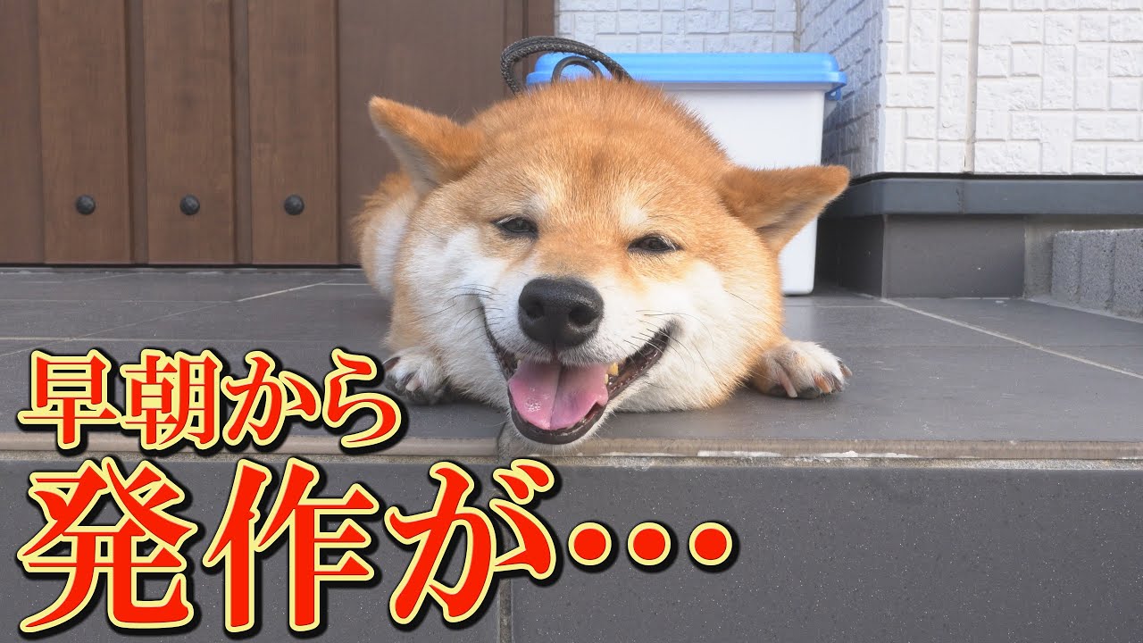 楽しく遊んでいたのに、突然てんかんの症状が・・・