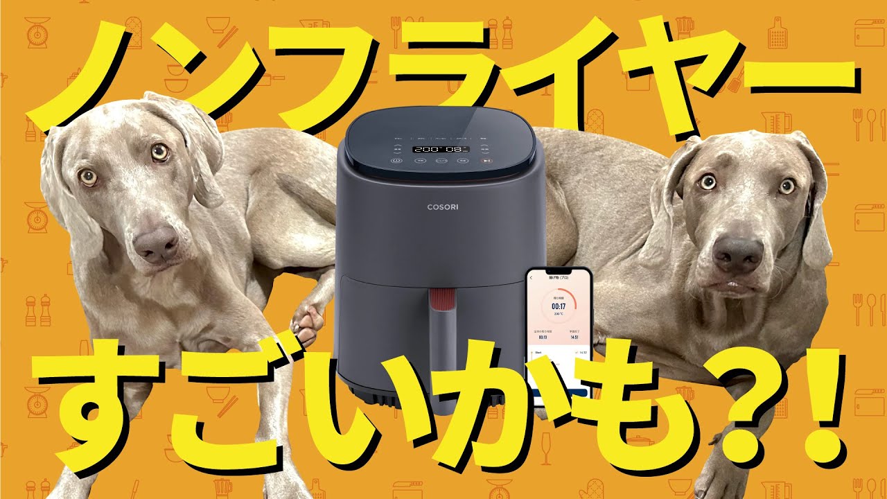 ノンフライヤーは人間も犬も大満足出来る商品だった！