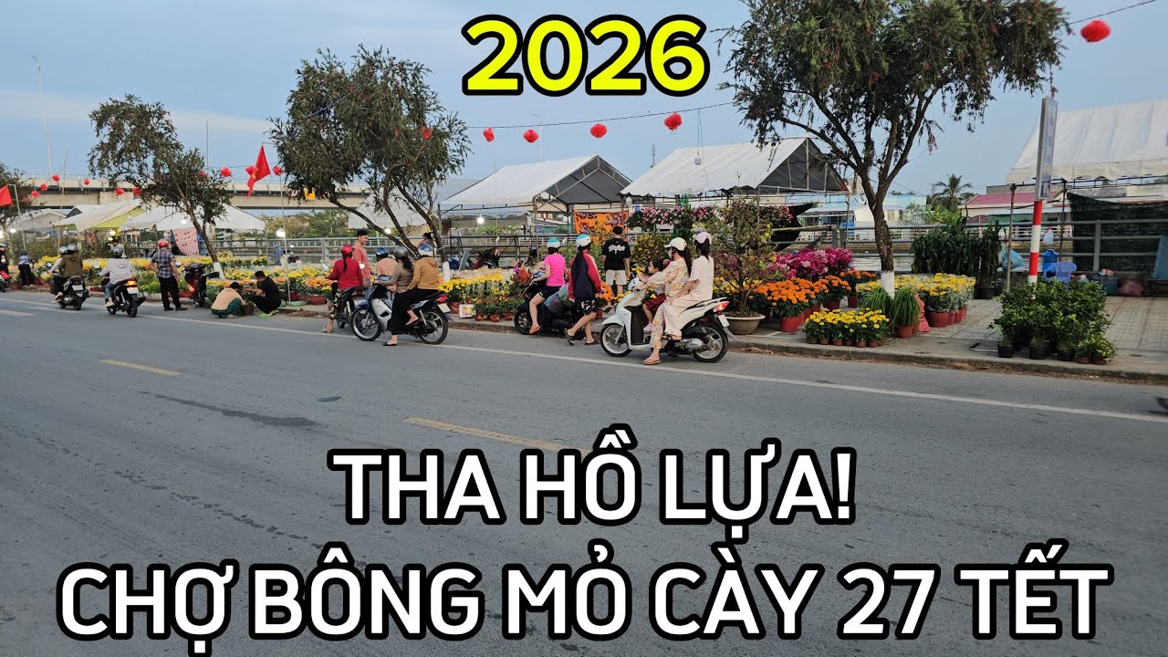 Tha hồ lựa! Chợ bông Mỏ Cày 27 Tết 