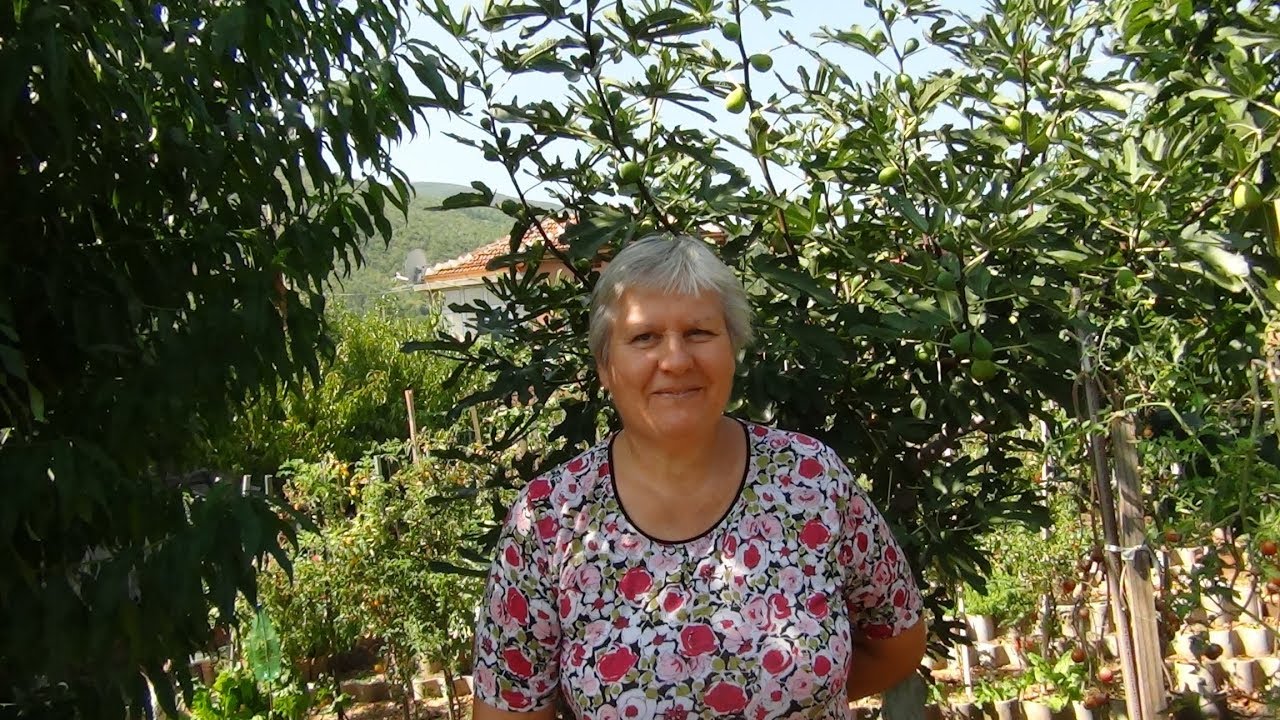 Eко градина за лентяи