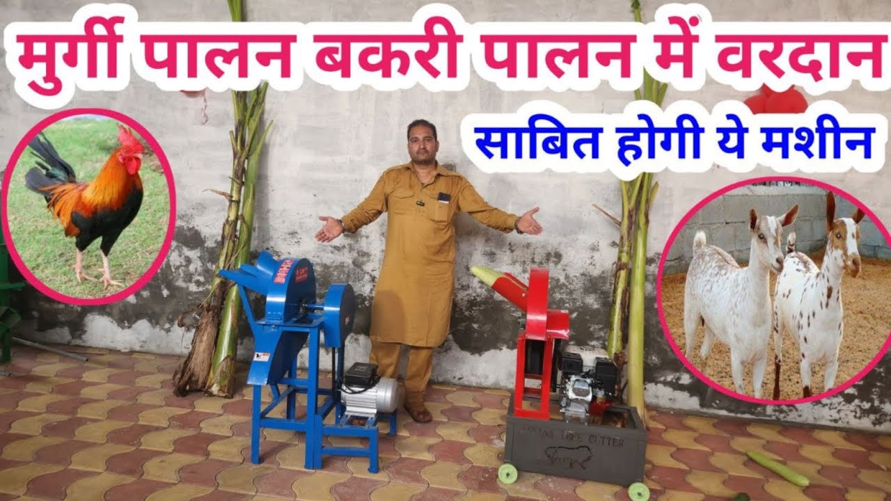 मुर्गी पालन बकरी पालन में वरदान साबित होगी ये मशीन | New technology banana tree shredder